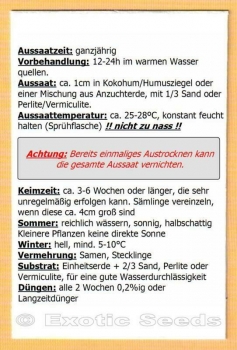 Preview: Dovyalis caffra, 10 Samen